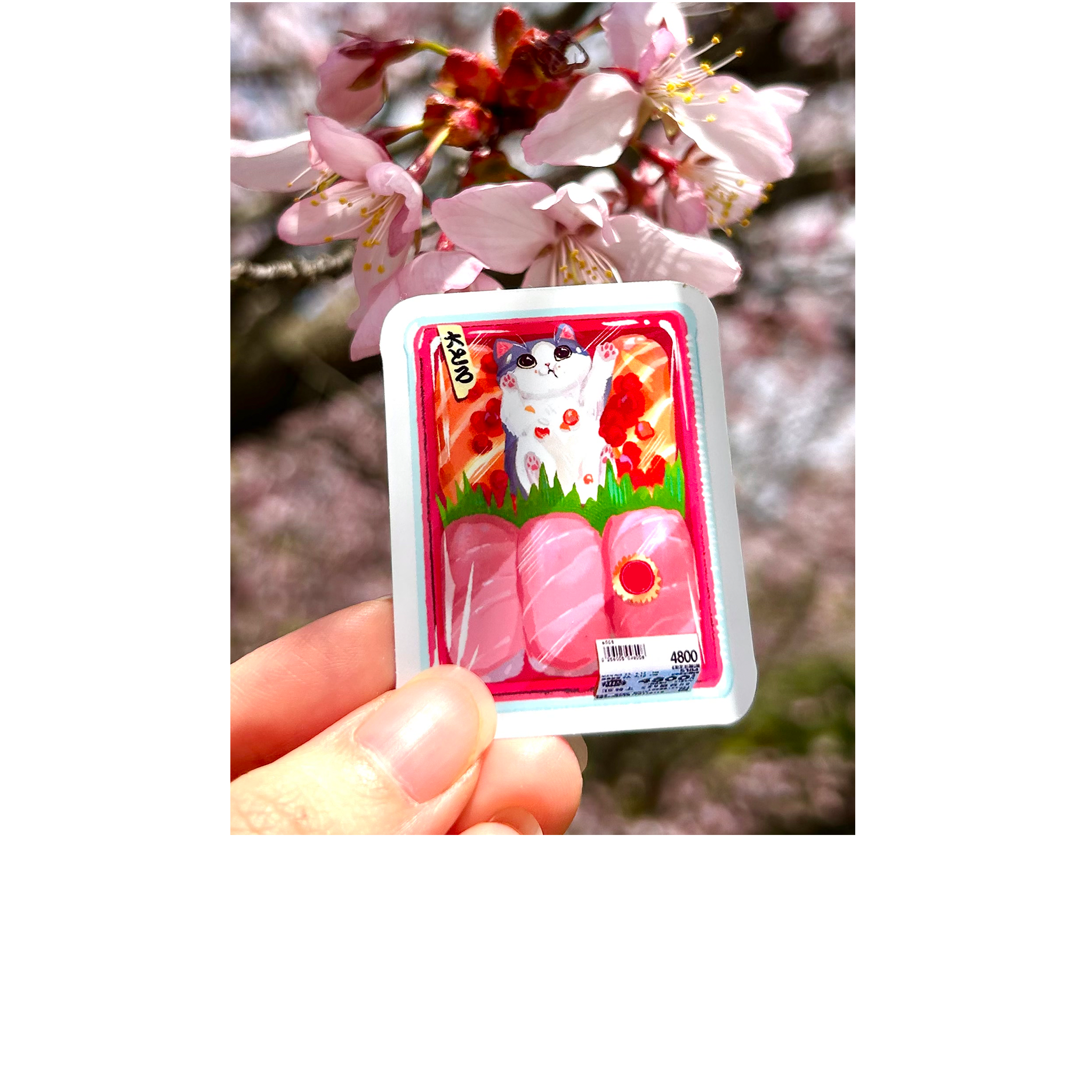 Soobi Cat Mail