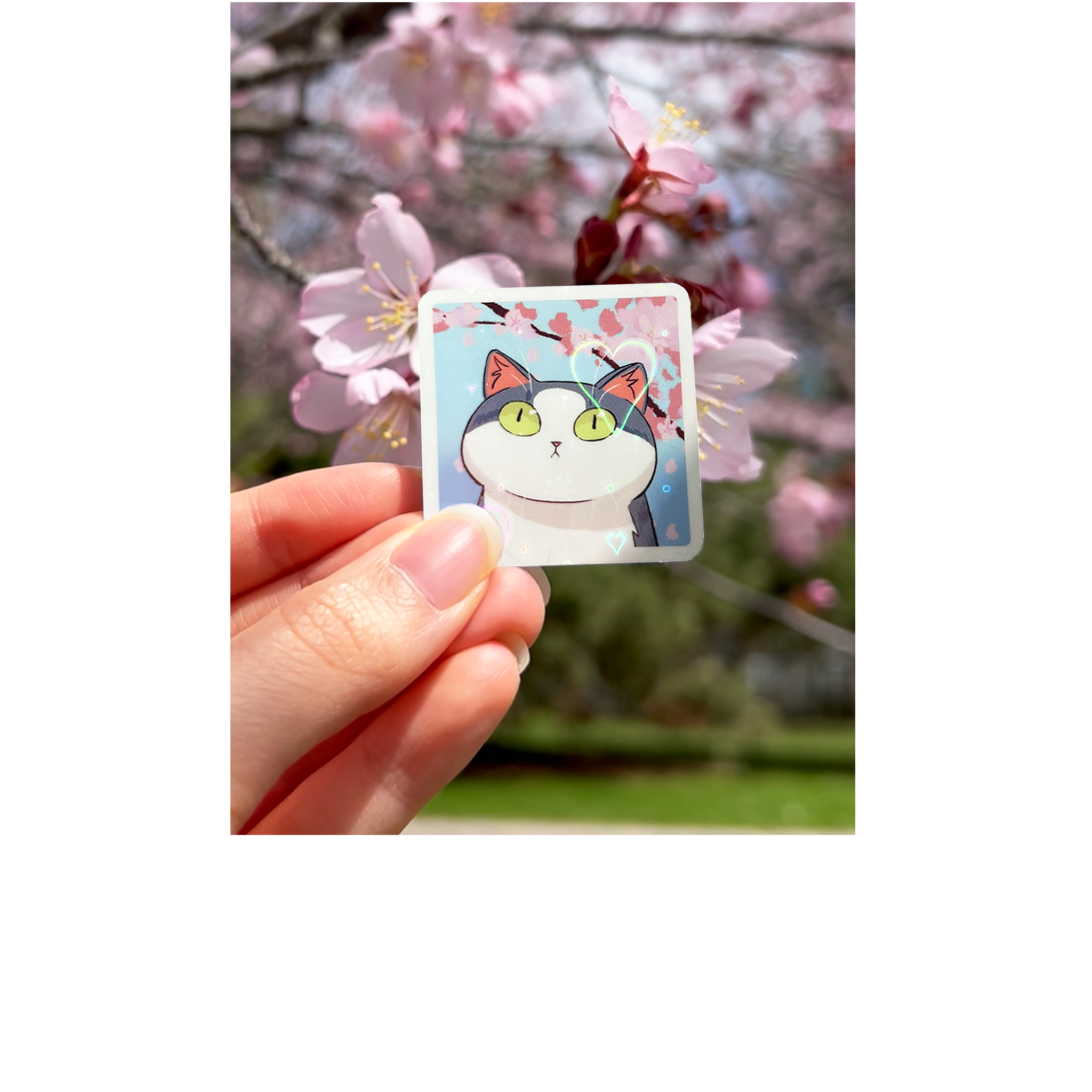 Soobi Cat Mail